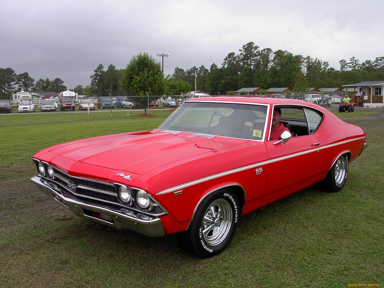 1969, chevrolet, chevelle, ss, classic, , , , 